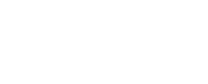 Distribuidora Cegonzz